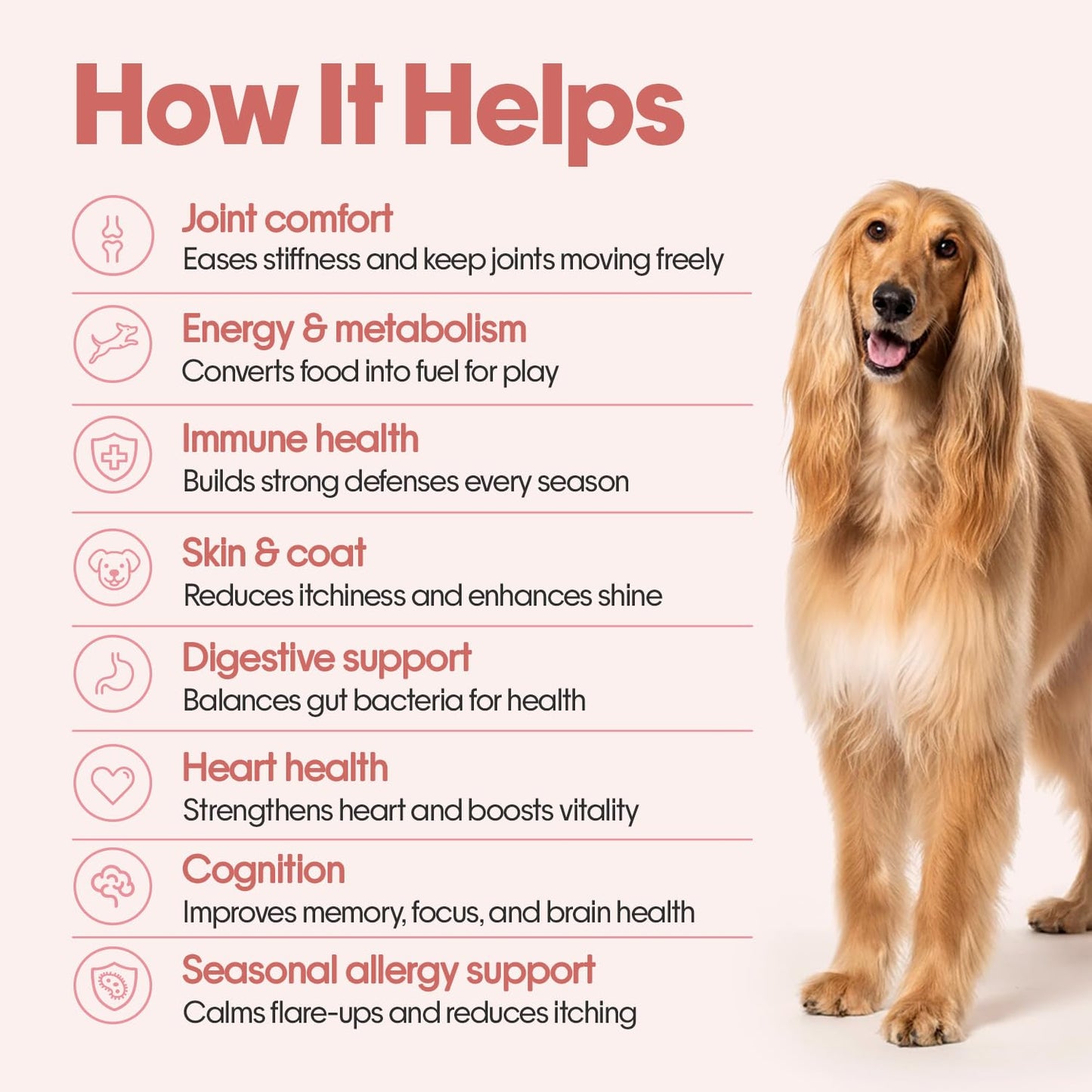 Hope All in One 14-in-1 Supplement Chews for Dog 30 Vegan hoplets |Multivitamins, Joint Support, Probiotics, Biotin, Omega 3 & 6| Pet Chews for Absolute Wellness | ColdPressed, Hypoallergenic