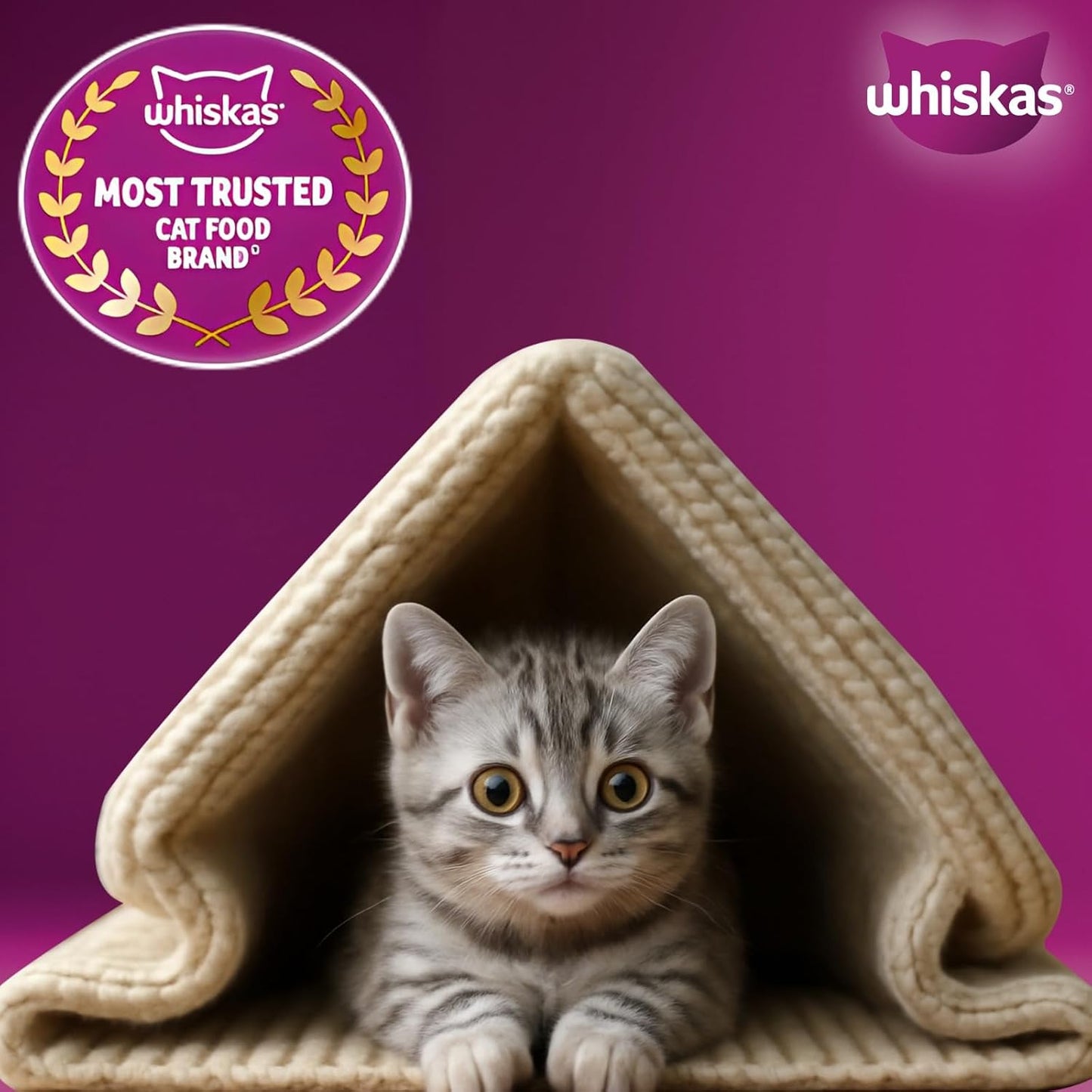 Whiskas Junior Mother Cat & Kitten (2-12 Months) Dry Cat Food, Mackerel Fish Flavour, 450 g, Contains 41 Essential Nutrients, Complete & Balanced Nutrition for Mother Cats & Kittens