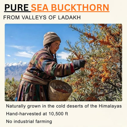 Simply Earth Sea Buckthorn Pulp Liquid Concentrate, Rich in Omega 3-6-7-9, Vitamin C & Antioxidants, Superfood for Immunity, Skin & Heart Health, 300 ML