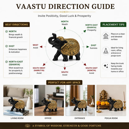 Premium Elephant Statue for Good Luck, Vastu & Home Decor Gift Items for Decoration (Black & Golden) & Animal Decorative Showpiece Figurines | Lucky Elephant Statue