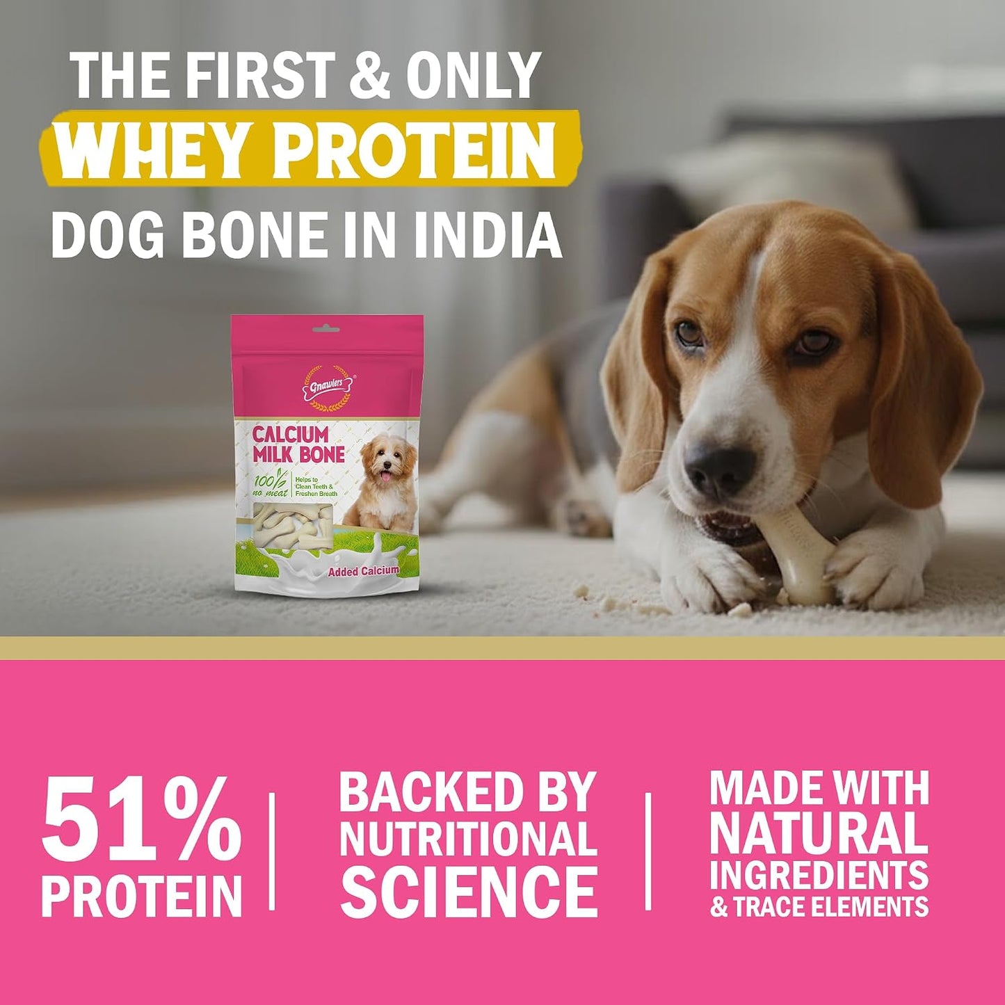 Gnawlers Dog Treats Bone Calcium Bone (30 in 1) Pack of 1