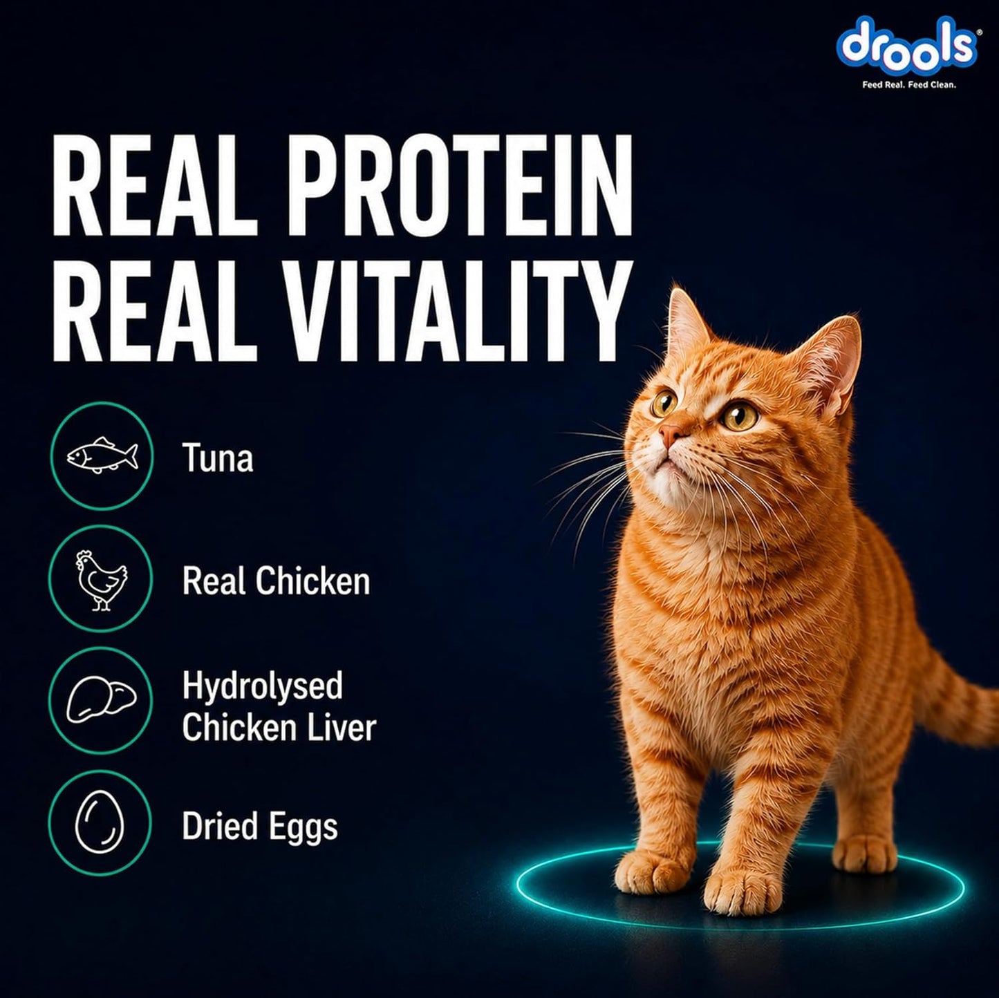 Drools Adult Cat Wet Mousse 80g Pack of 5, 400g | Tuna Flavour | Rich in Protein | Promotes Hydration & Easy to Digest | No Artificial Flavours | Packed with Essential Vitamins & Antioxidants