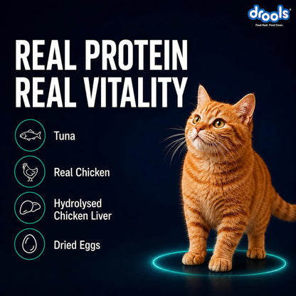 Drools Adult Cat Wet Mousse 80g Pack of 5, 400g | Tuna Flavour | Rich in Protein | Promotes Hydration & Easy to Digest | No Artificial Flavours | Packed with Essential Vitamins & Antioxidants