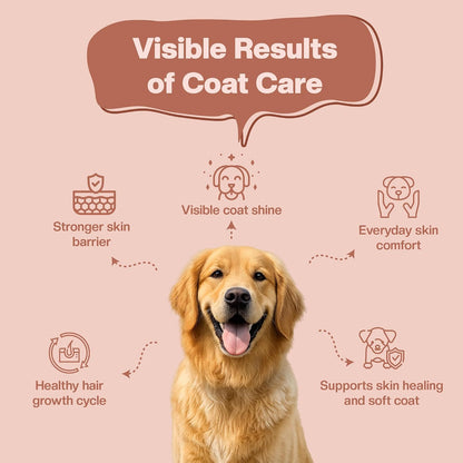 BLEP Super Coat Care - Dog Skin & Supplement, Itchy Skin, Shedding, Dull Coat & Paw Licking | Omega 3, Biotin & Collagen | Fish Oil, Borage Oil & Probiotics | Chicken Chews, 60 g