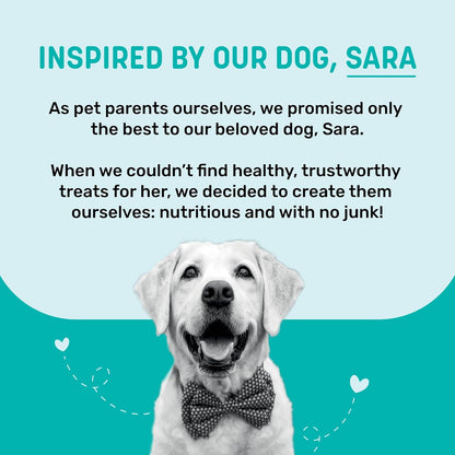 Sara’s Doggie Treats – Dehydrated Salmon Jerky for Dogs – 70 gm | 100% Natural, High-Protein Dog Treat | Grain-Free, Preservative-Free Snacks for All Breeds