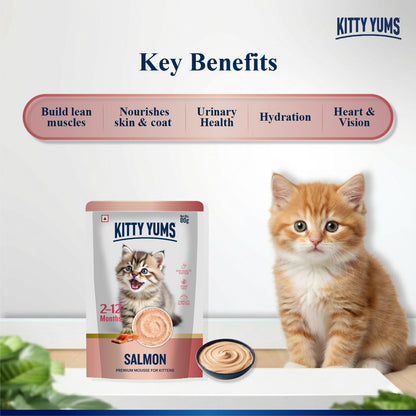 Kitty Yums Kitten Wet Mousse 80g | Salmon | Rich in Protein | Promotes Hydration & Easy to Digest | Grain Free | No Artificial Flavours | Packed with Essential Vitamins & Antioxidants