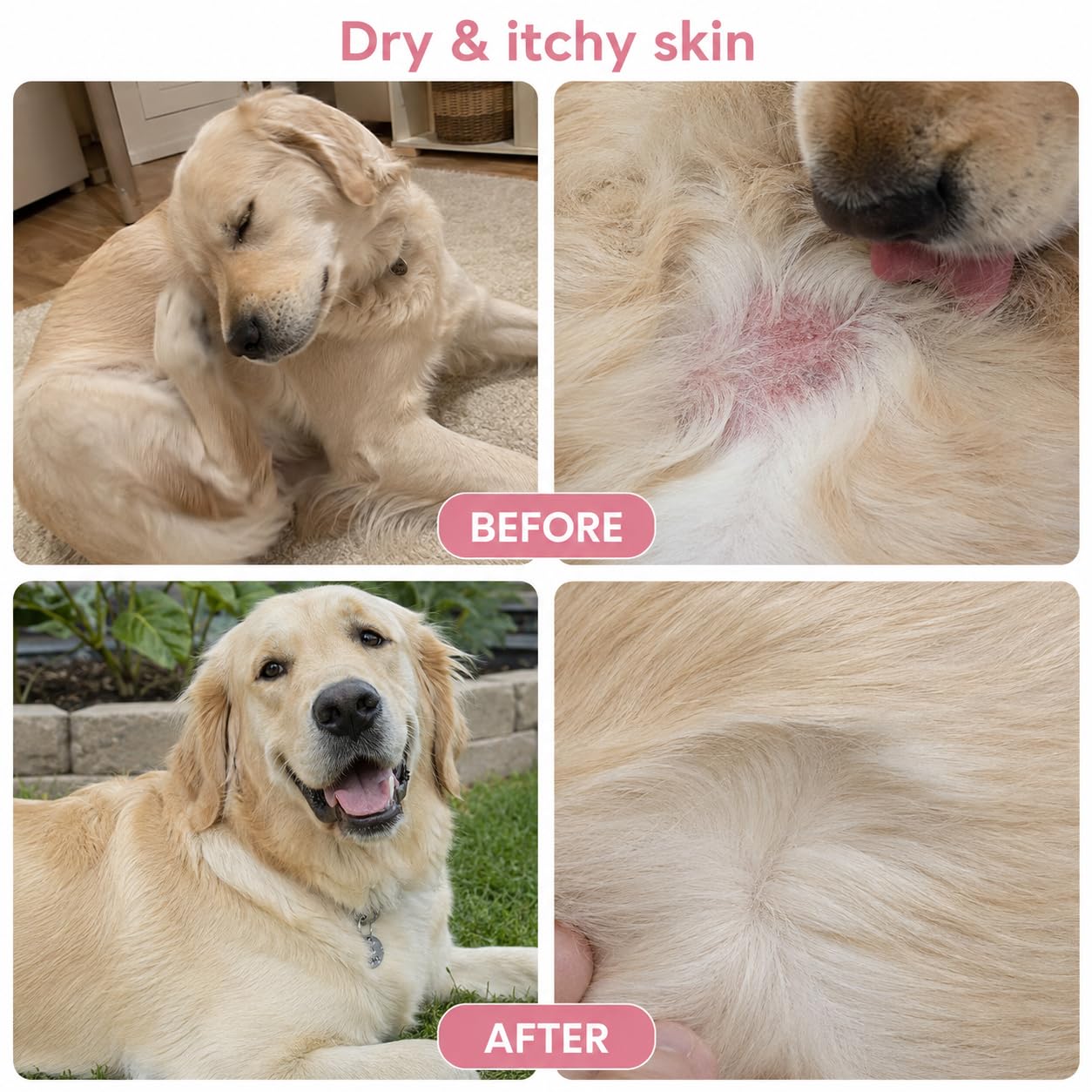Whisker and Wilde Dog Skin and Coat Supplement | 460mg Omega-3 for Dogs | Coat Shine, Reduced Shedding, Dry Skin | Biotin, L-Methionine, Selenium, Zinc | Skin Actives | 300g