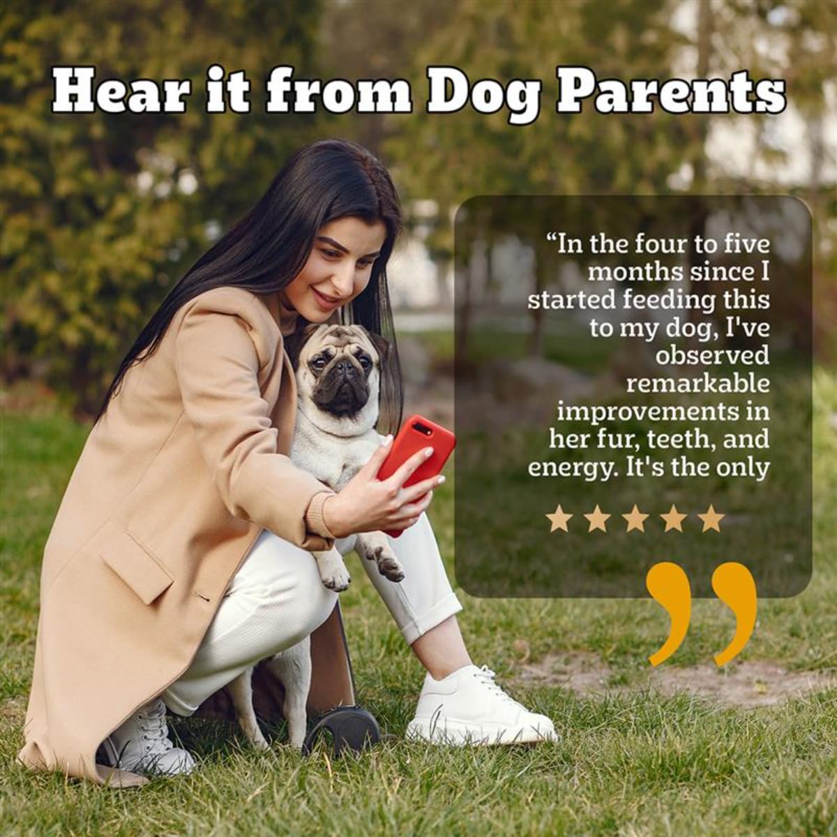Pedigree PRO Adult Small Breed, 1.2 kg Dry Dog Food, Vet Trusted Brand, Expert Nutrition, Quality Protein, 33% More Nutrients (9 Months Onwards)