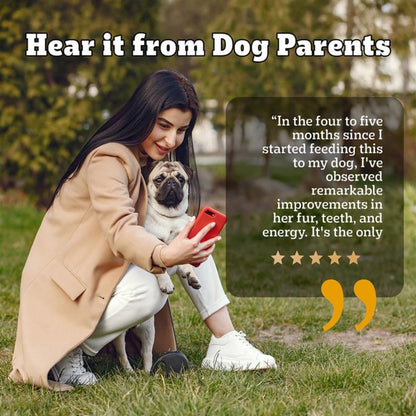 Pedigree PRO Adult Small Breed, 1.2 kg Dry Dog Food, Vet Trusted Brand, Expert Nutrition, Quality Protein, 33% More Nutrients (9 Months Onwards)
