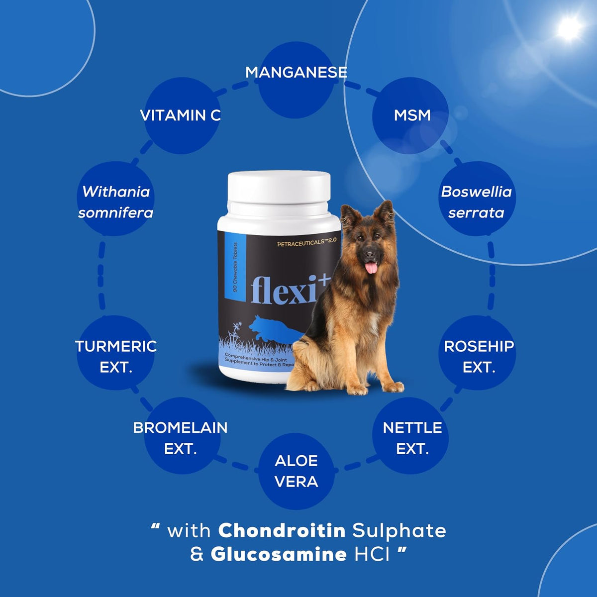 Venttura Petraceuticals Flexi+ Chewable Tablets Hip & Joint Supplement for Dogs | Strengthen Joints | Repairs Cartilage | Joint Health Support | Improves Mobility | (45 Chewable Tablets)
