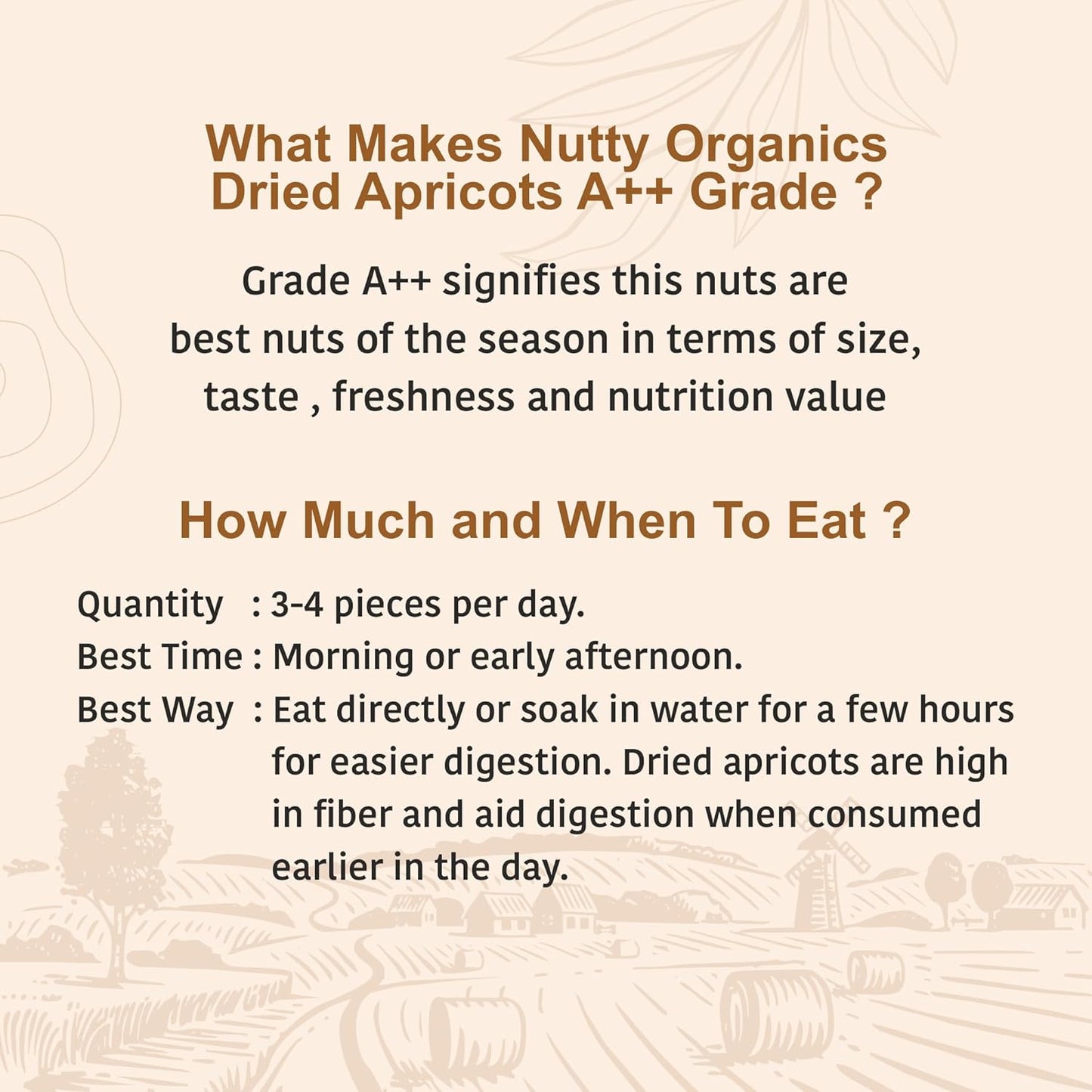 Nutty Organics Dried Apricots Jardalu 250GM | Nutritious | Rich in Iron | Tasty & Healthy Nuts Dry Fruits | Rich in Protein | Gluten Free