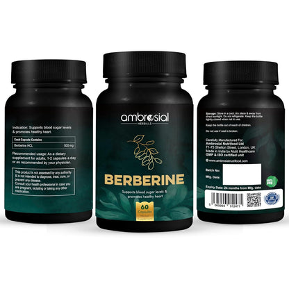 Three black bottles of Ambrosial Berberine supplement on a white background
