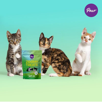 Pawr4Cats | Zoomy Cat Treats | Party Mix Combo | A Mix of Freeze-Dried Chicken Organs | 45 GMS | No Preservatives