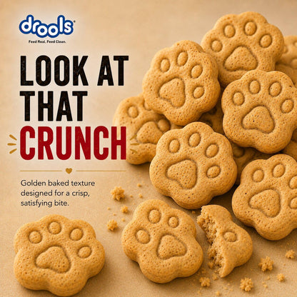 Drools All Life Stages Dog Treat Biscuits 400g Jar | Real Chicken Flavour | All Breed Formula | Promotes Lustrous Skin & Coat | Vitamins & Minerals | Reduces Tartar Build Up