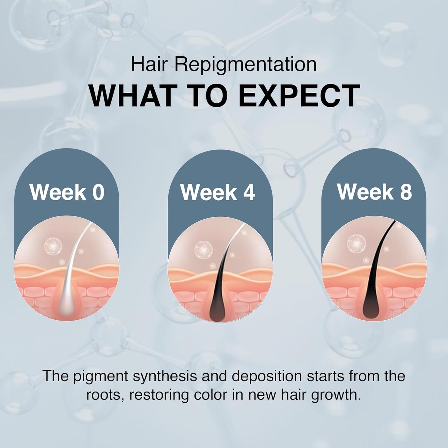 Diagram showing hair repigmentation process over weeks 0, 4, and 8 with a blue background.