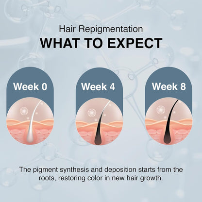 Diagram showing hair repigmentation process over weeks 0, 4, and 8 with a blue background.