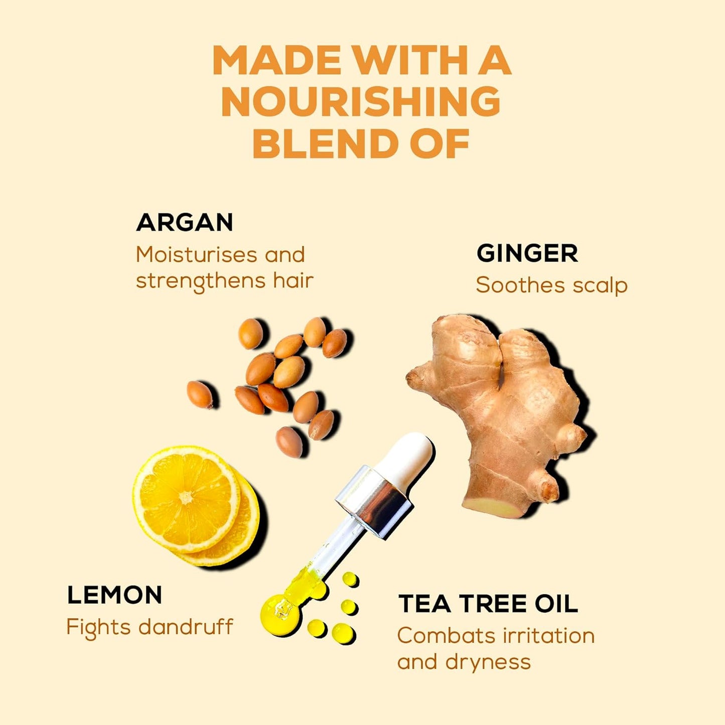 Joy Anti Dandruff Shampoo with Tea Tree, Ginger & Lemon for Dry & Itchy Scalp (340ml) | 4 in 1 Conditioning Shampoo for Dandruff Control & Soft Hair | Vegan & Paraben Free | For Men & Women