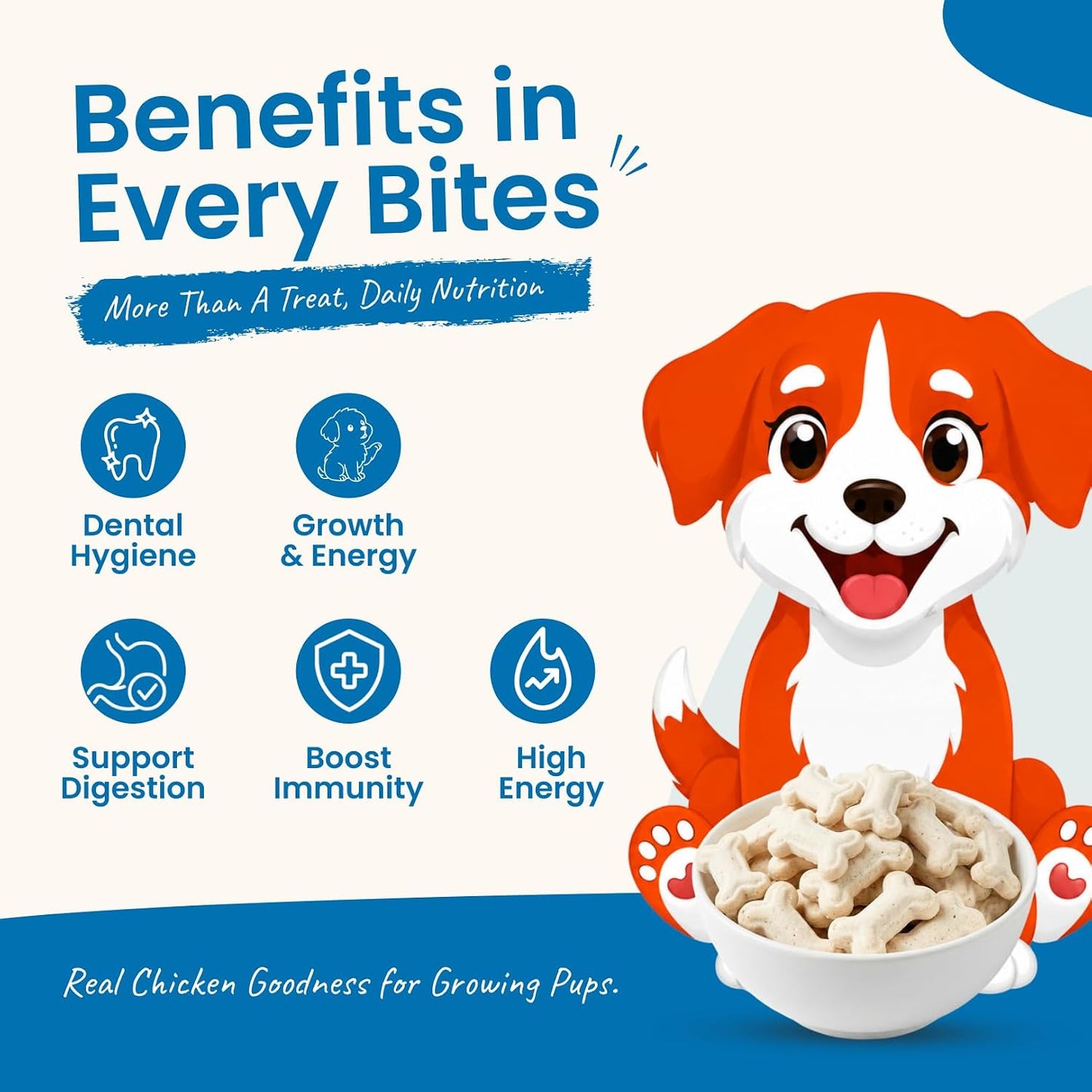 Nootie Chicken Biscuits with Chicken & Peanut Butter Flavour for Puppies Dogs Protein-Rich, Highly Digestible, and Nutrient-Dense Dog Treats, Breeds & Sizes - 900g