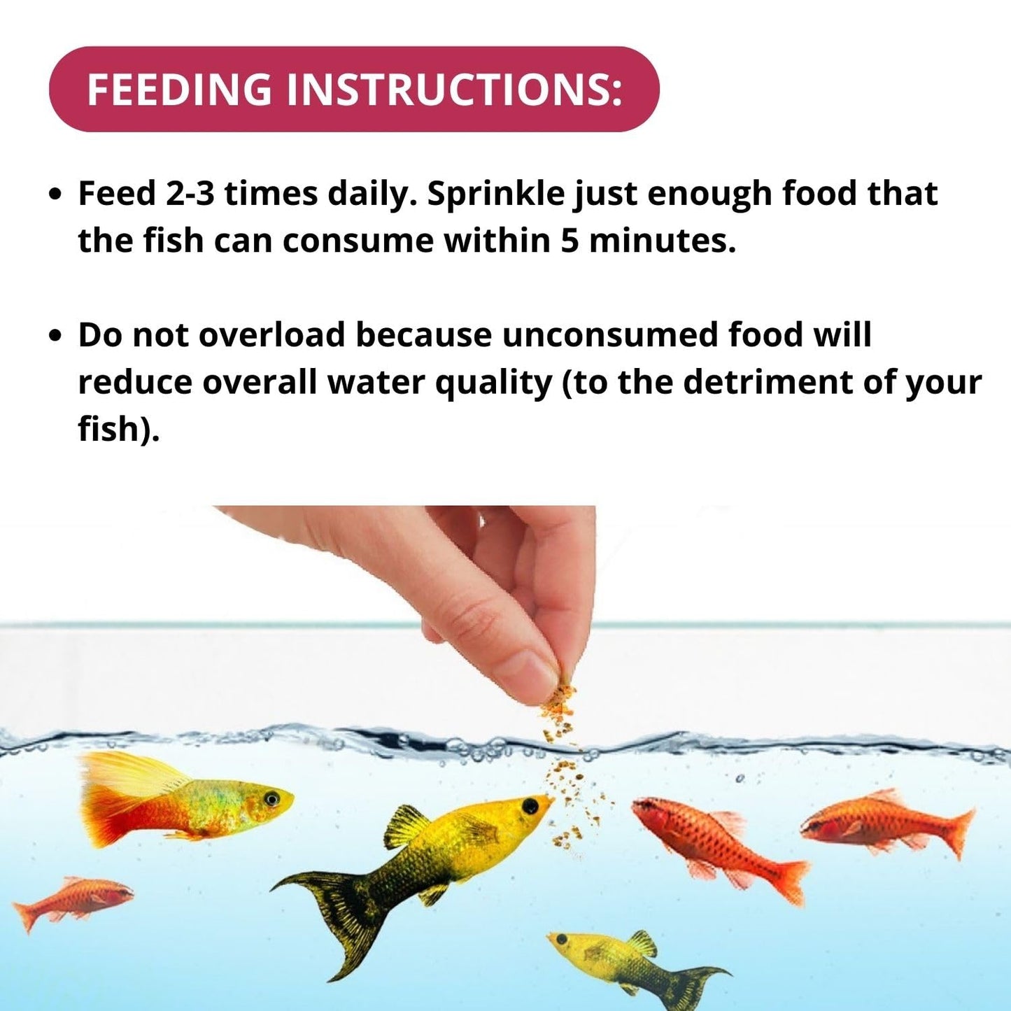 Optimum Mini Pellet Fish Food (Original from Tunai Store) (500g, Mini Pellets)