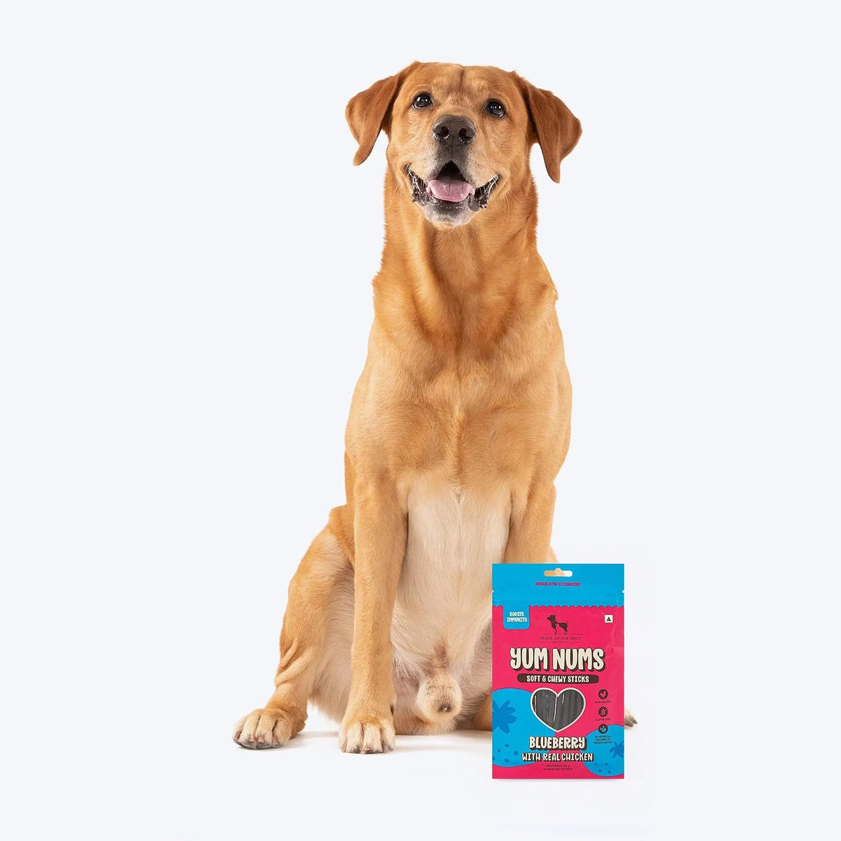 Yum Nums by HUFT Soft & Chewy Sticks - Blueberry & Chicken - 70gm | Dog Treats for Puppies & Adults | Training Treats | Healthy Dog Snacks | Puppy Treats for Small Dogs