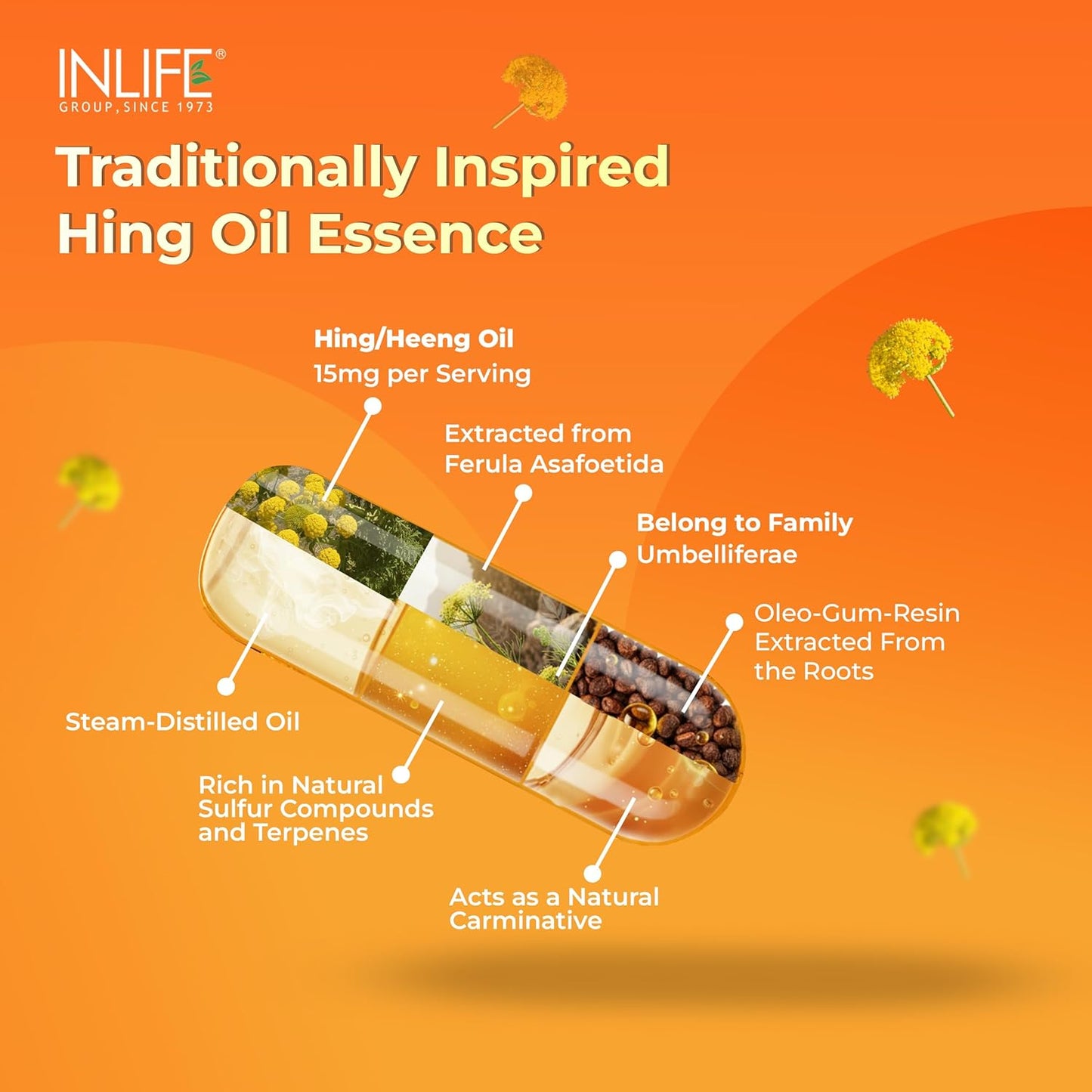 INLIFE Hing Oil Capsule (Asafoetida) | Faster Absorption than Powder | Digestion Support Supplement for Men and Women, 15mg - 60 Liquid Filled Vegetarian Capsules (Pack of 1, 60)