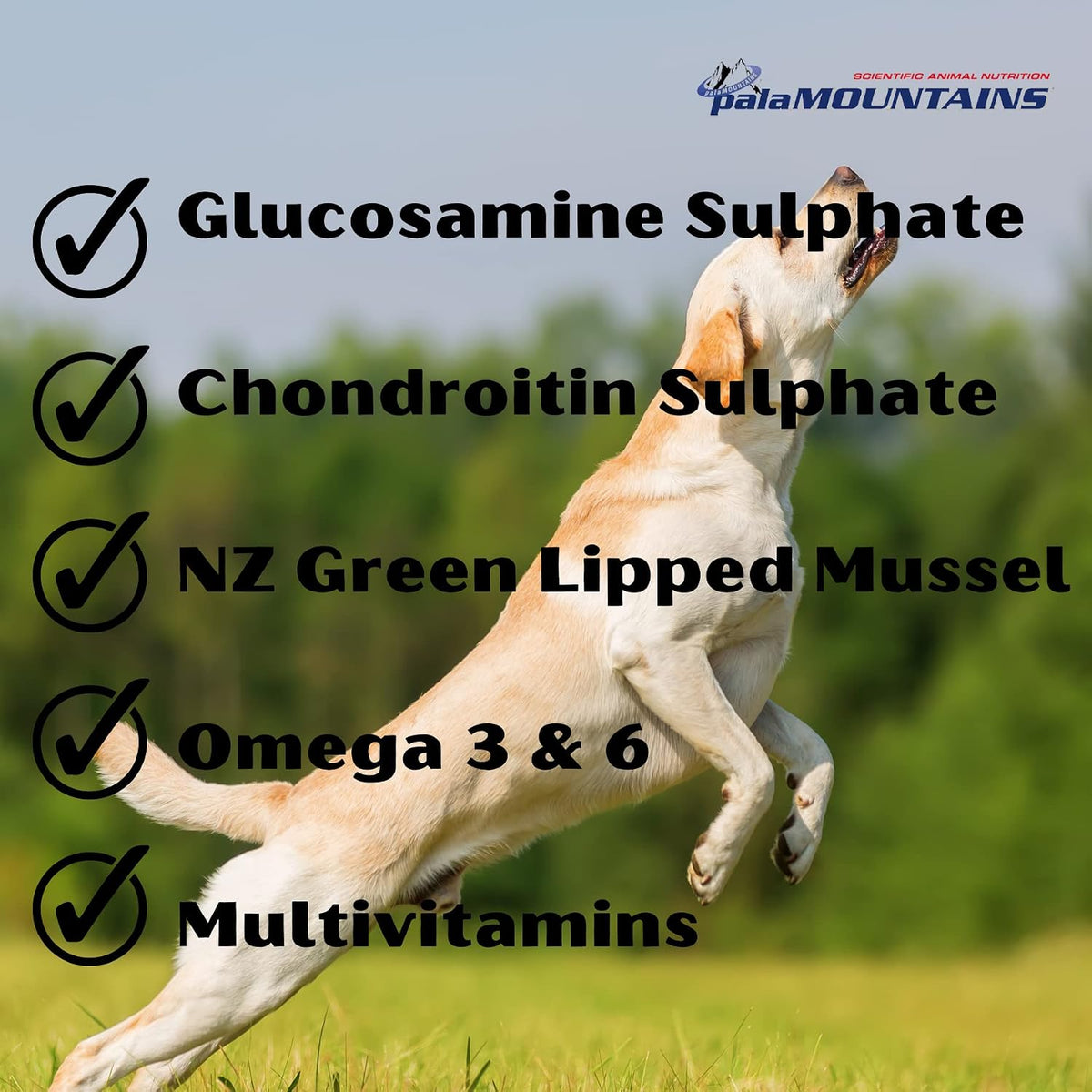 Palamountains My Beau Bone & Joint Supplement for Dogs – Joint Health, Mobility, Soft Tissue & Immune Support, Antioxidants for Active & Aging Dogs – 300ml