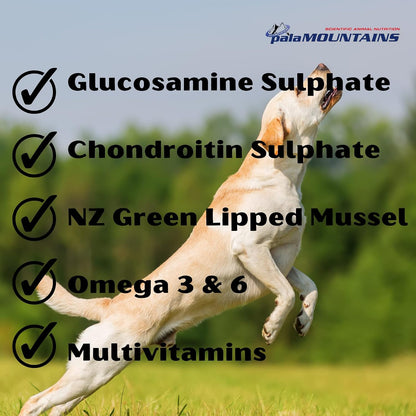 Palamountains My Beau Bone & Joint Supplement for Dogs – Joint Health, Mobility, Soft Tissue & Immune Support, Antioxidants for Active & Aging Dogs – 300ml
