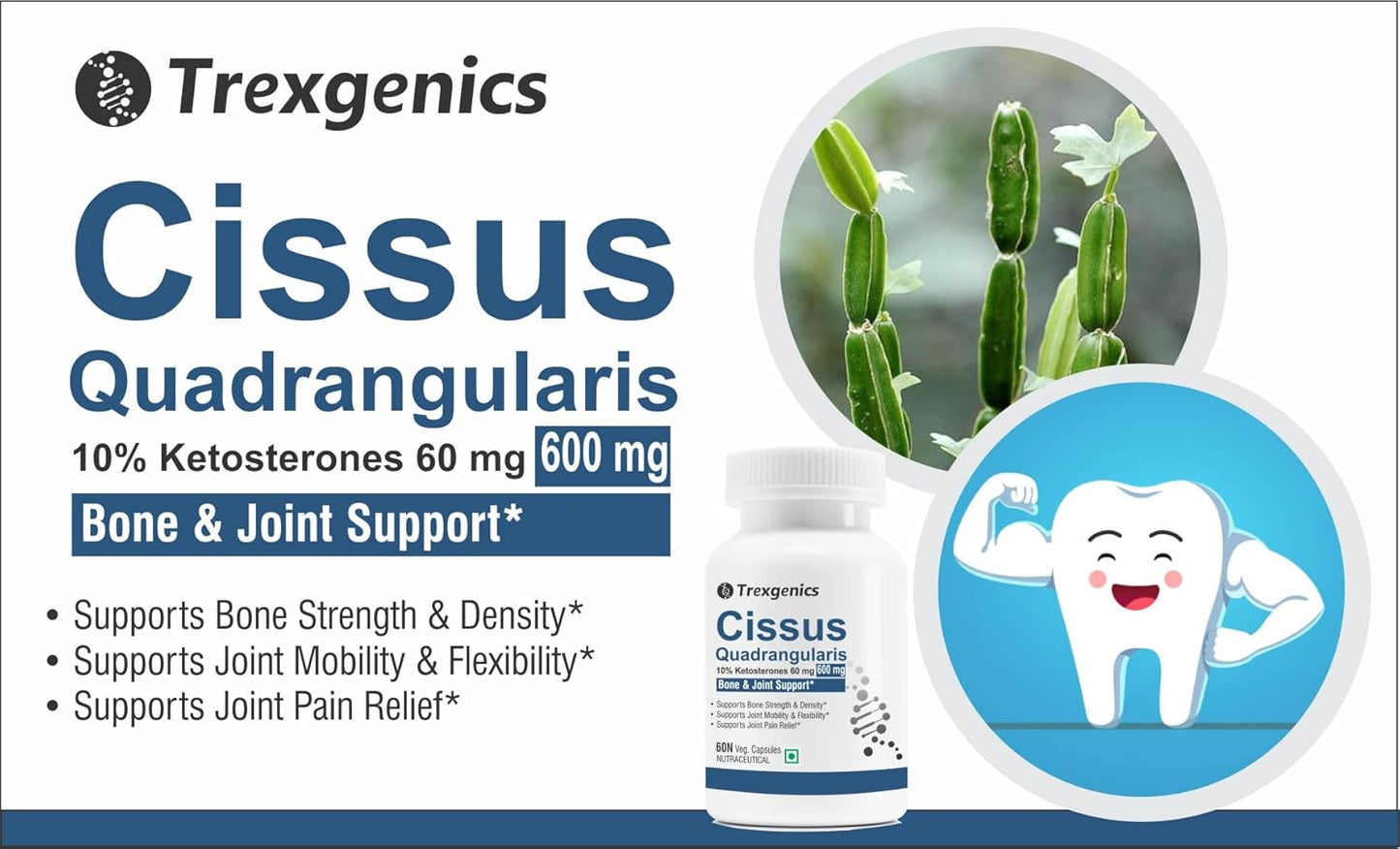 Trexgenics CISSUS QUADRANGULARIS Hadjod 10% Ketosterones 600 mg Joint Pain & Bone Density Support VEGAN & NON-GMO (60 Veg. Capsules) (Pack of 1)