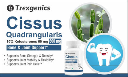 Trexgenics CISSUS QUADRANGULARIS Hadjod 10% Ketosterones 600 mg Joint Pain & Bone Density Support VEGAN & NON-GMO (60 Veg. Capsules) (Pack of 1)