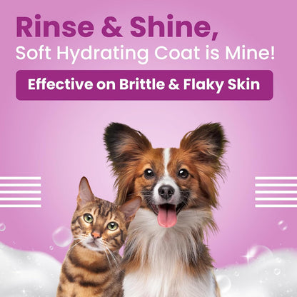 BARK OUT LOUD Allergy & Itch Relief Shampoo for Dogs & Cats | Effective On Food, Flea Allergy Rashes & Long Lasting Skin Conditions - 200 ml