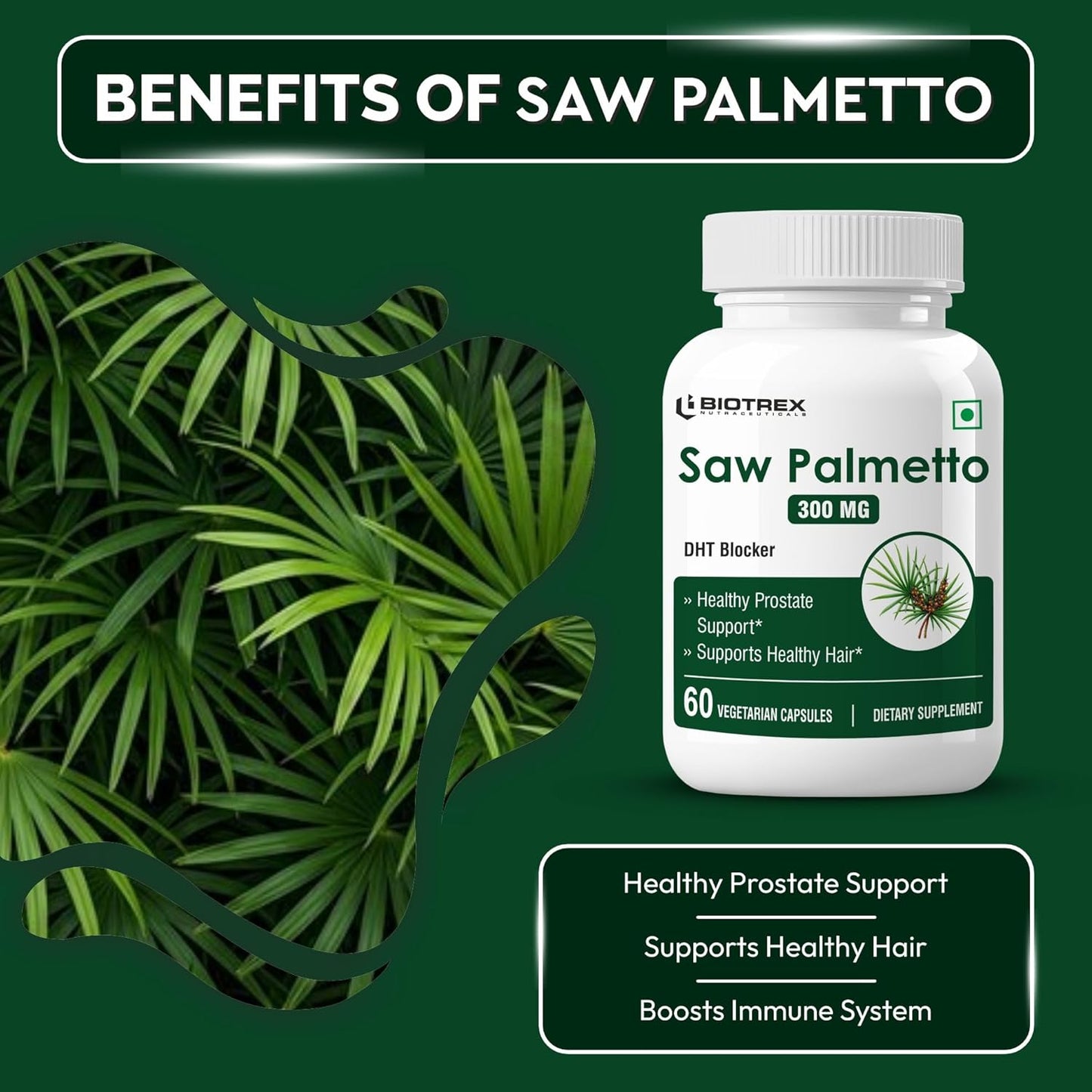 Biotrex Nutraceuticals Saw Palmetto 300mg | Prostate Health & Urinary Support | Hair Growth | DHT Blocker | Advanced Natural Source Supplement With 45% Fatty Acids | 60 Veg Capsules