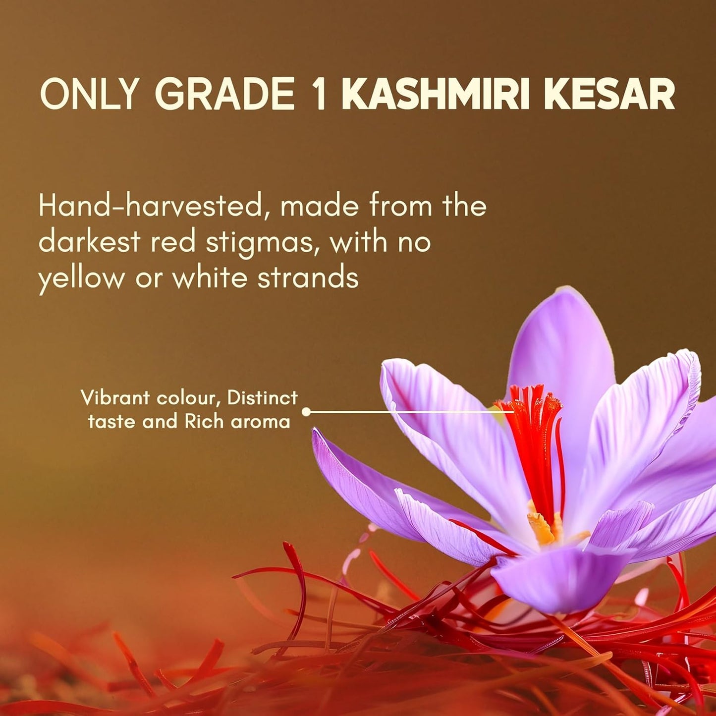 Saffron flower with text about Grade 1 Kashmiri Kesar on a brown background