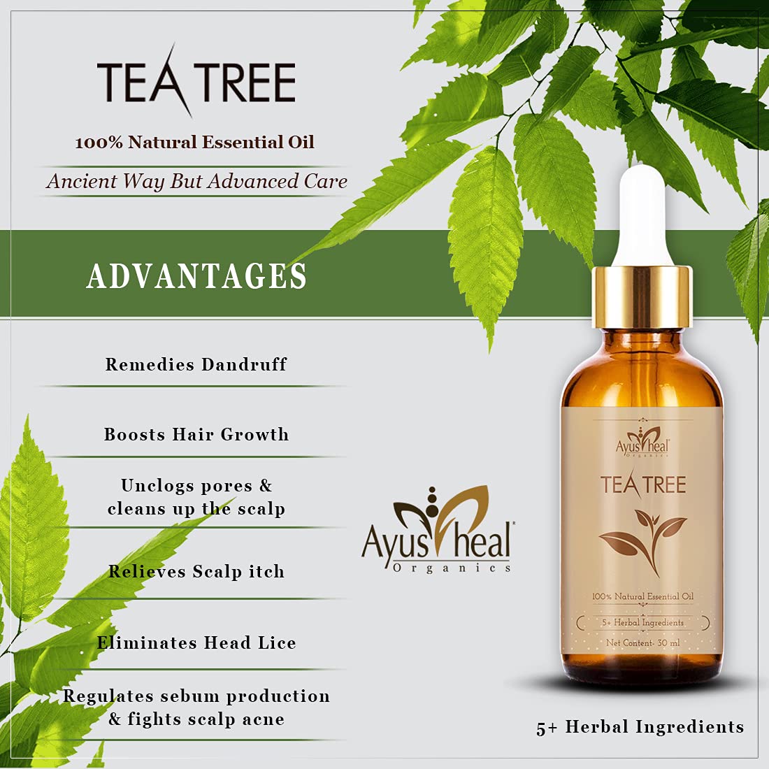 Tea tree essential oil bottle with benefits listed on a light green background