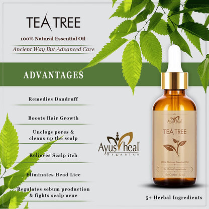 Tea tree essential oil bottle with benefits listed on a light green background