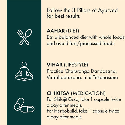 DR. VAIDYA'S new age ayurveda Combo For Men (Shilajit Gold 30 capsules & Herbobuild 30 capsules)