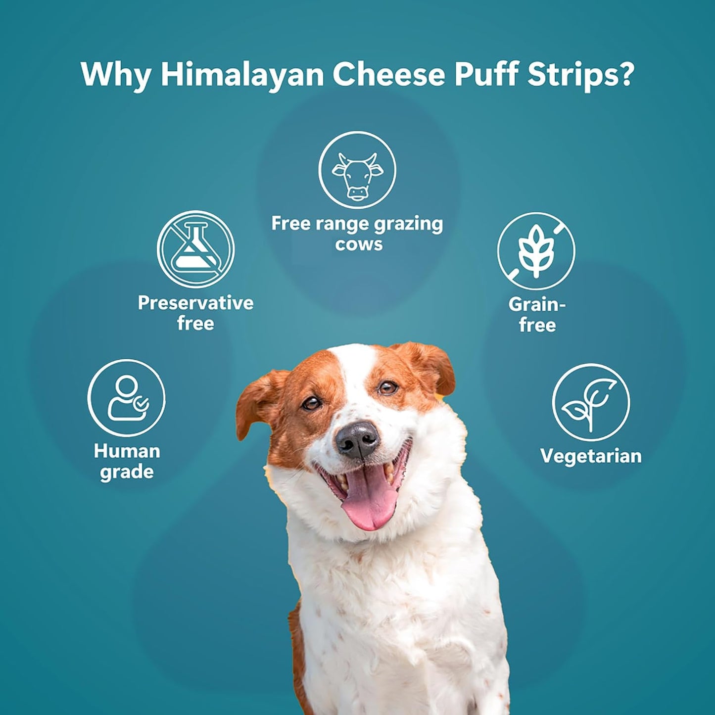 Pawfect Himalayan Cheese Puff Strips for Dogs - 100% Natural Crunchy Treat - High in Protein & Calcium - Healthy Training Treat - Grain-Free - Limited Ingredient Treats for Dogs (70g/2.47oz)