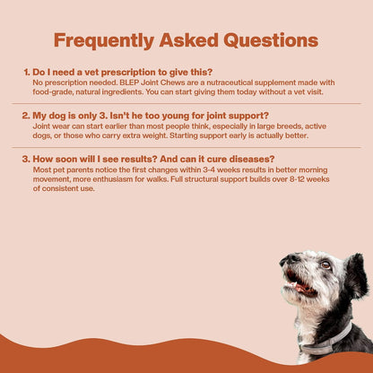 dog joint supplement, dog hip and joint supplement, dog joint chews, glucosamine for dogs, chondroitin for dogs, collagen for dogs, MSM for dogs, green lipped mussel for dogs, dog mobility supplement, dog joint support, dog soft chews, BLEP