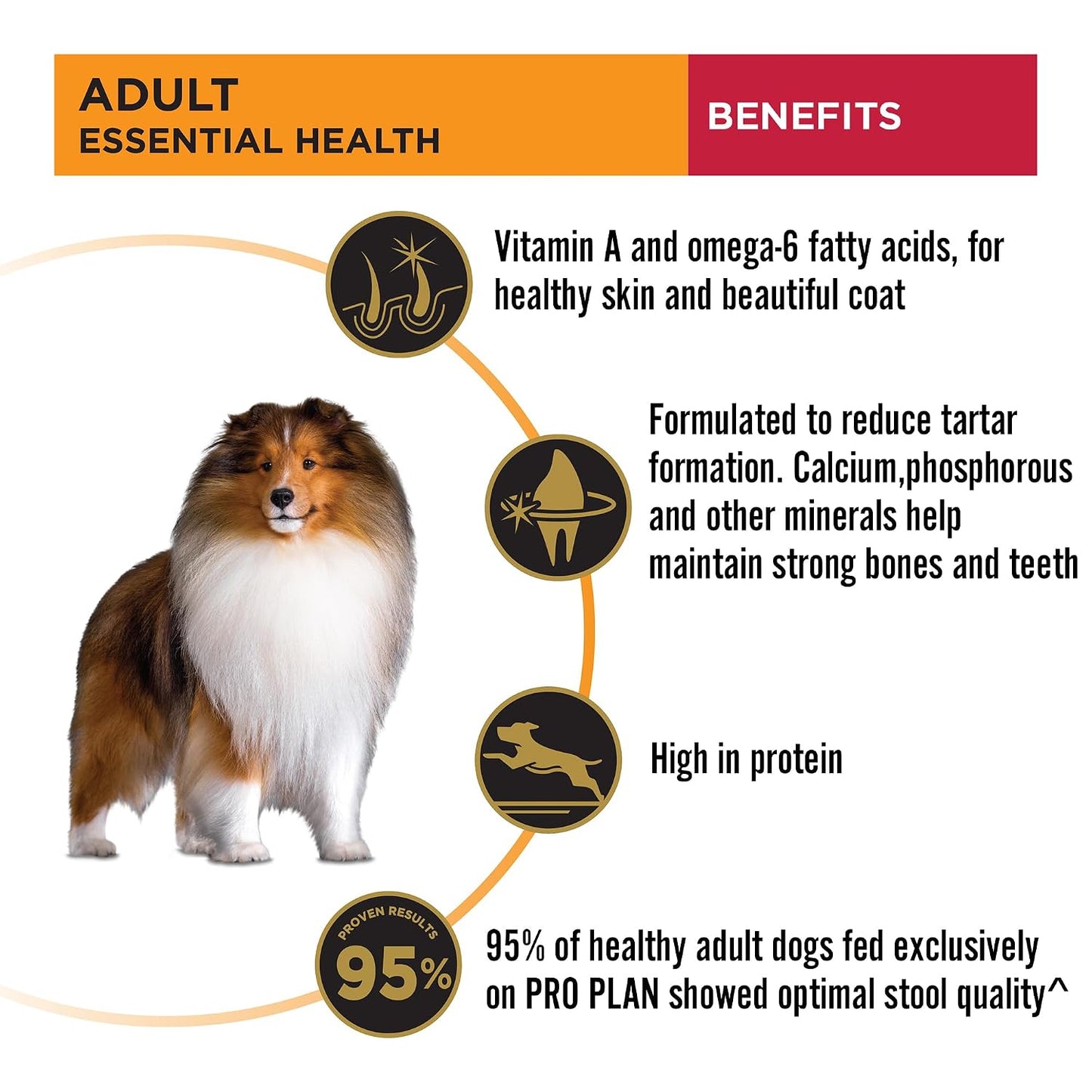 Purina Pro Plan Adult Dog Dry Food for Medium Breed Dogs, 1kg Pack | With Complete & Balanced Nutrition, High Digestibility, Proprietary Blend, No Added Artificial Colours & Flavours