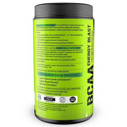 Naturyz Instantized BCAA Supplement with 7000 BCAA, Glutamine, Citrulline, Beta Alanine etc for Energy & Endurance - Pre, Post & Intra Workout Muscle Recovery (Blueberry Mojito) - 450Gms, Powder