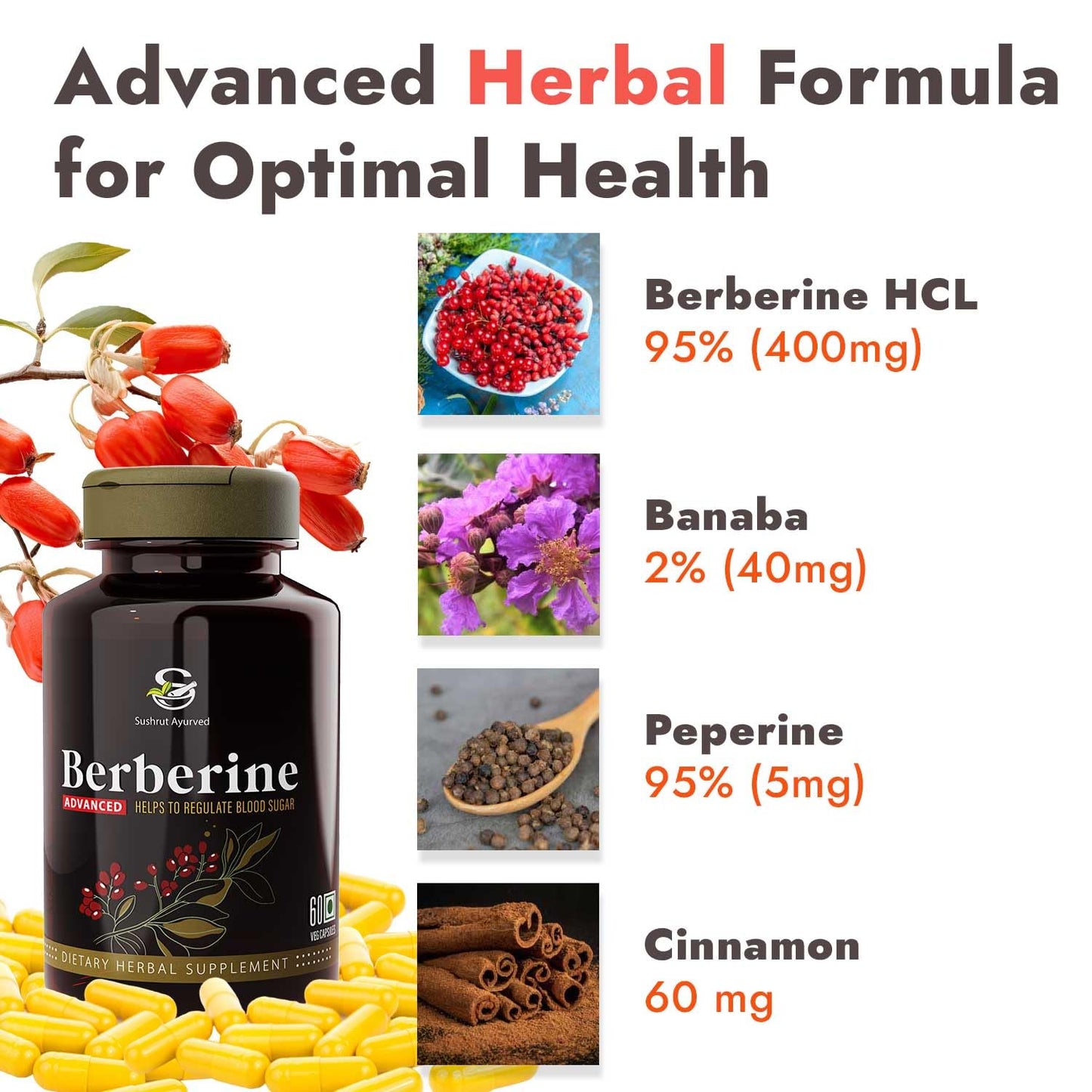 Berberine Advanced 500mg Capsules for Glucose Balance, Optimal Metabolism & Weight Management – Plant-Based Formula with Banaba, Piperine & Cinnamon Extracts [Vegan Friendly] (Pack of 1 - 60 Capsules Each)