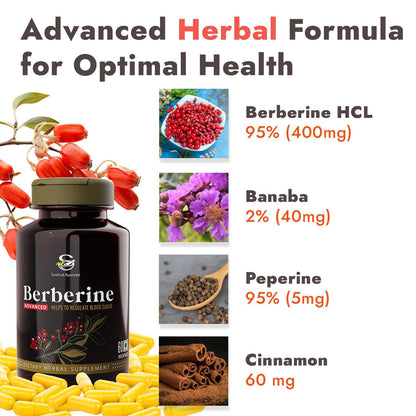 Berberine Advanced 500mg Capsules for Glucose Balance, Optimal Metabolism & Weight Management – Plant-Based Formula with Banaba, Piperine & Cinnamon Extracts [Vegan Friendly] (Pack of 1 - 60 Capsules Each)