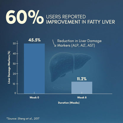 Graph showing improvement in fatty liver with 60% of users reporting improvement, and a liver illustration on a blue background.