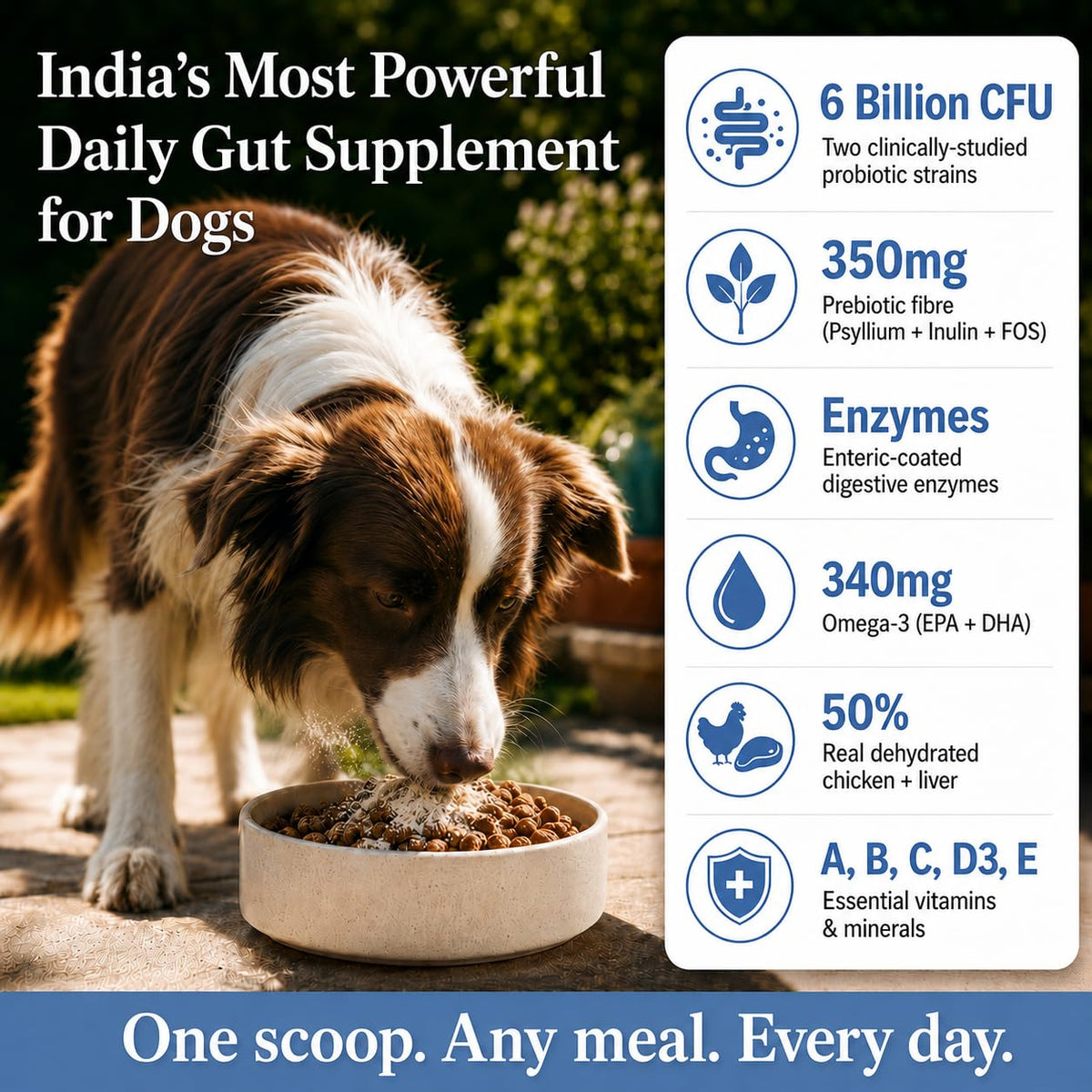 Whisker and Wilde Dog Gut Health Supplement Powder | 6 Billion CFU Probiotics for Paw Licking, Loose Stools, Gas and Itching | with Prebiotics, Digestive Enzymes and Omega-3 | 300g, 30 Daily Scoops