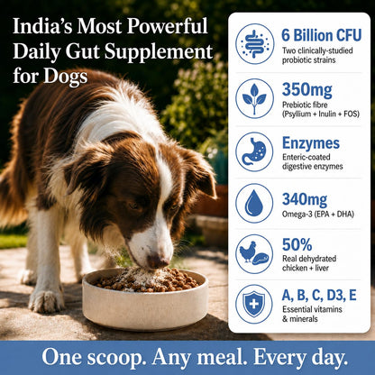 Whisker and Wilde Dog Gut Health Supplement Powder | 6 Billion CFU Probiotics for Paw Licking, Loose Stools, Gas and Itching | with Prebiotics, Digestive Enzymes and Omega-3 | 300g, 30 Daily Scoops