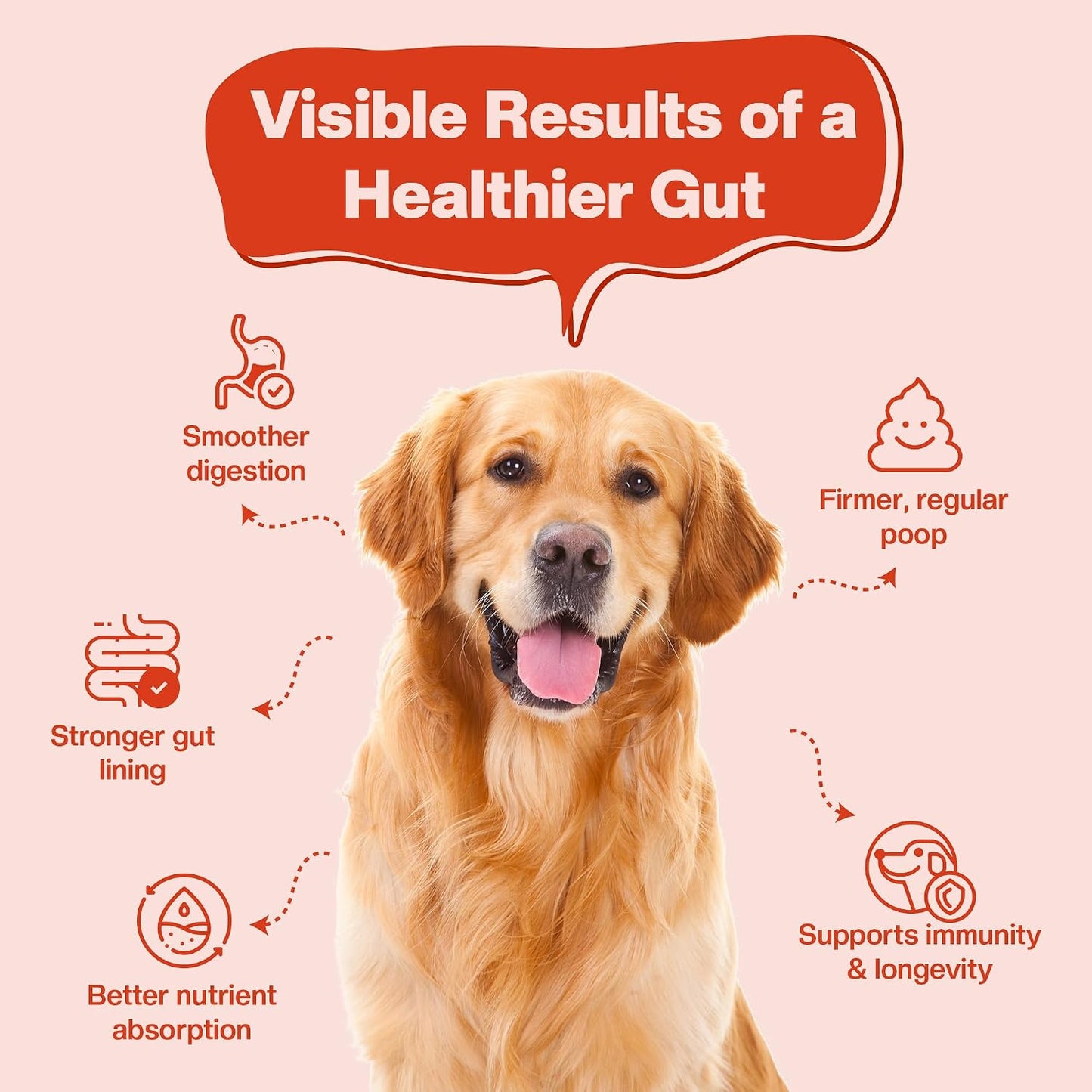 BLEP Super Gut Booster - Dog Probiotic Soft Chew Supplement, Gut Health, Loose Stool, Gas, Diarrhea & Itchy Skin | Pre, Pro & Postbiotics + Digestive Enzymes | 9 Probiotic Strains, 5B CFU | 60g