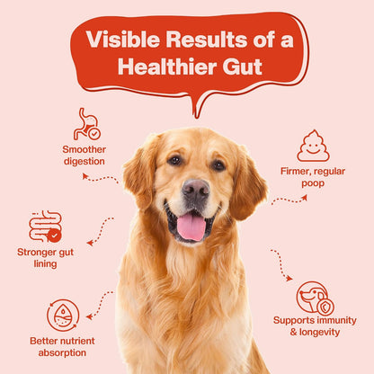 BLEP Super Gut Booster - Dog Probiotic Soft Chew Supplement, Gut Health, Loose Stool, Gas, Diarrhea & Itchy Skin | Pre, Pro & Postbiotics + Digestive Enzymes | 9 Probiotic Strains, 5B CFU | 60g