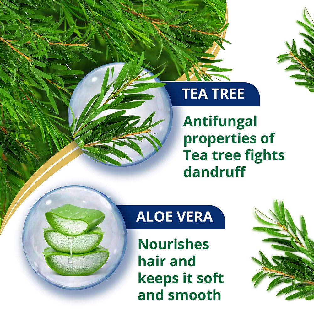 Tea tree and aloe vera with text on antifungal properties and hair care benefits.
