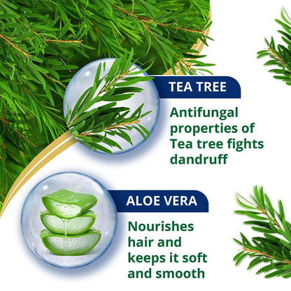 Tea tree and aloe vera with text on antifungal properties and hair care benefits.