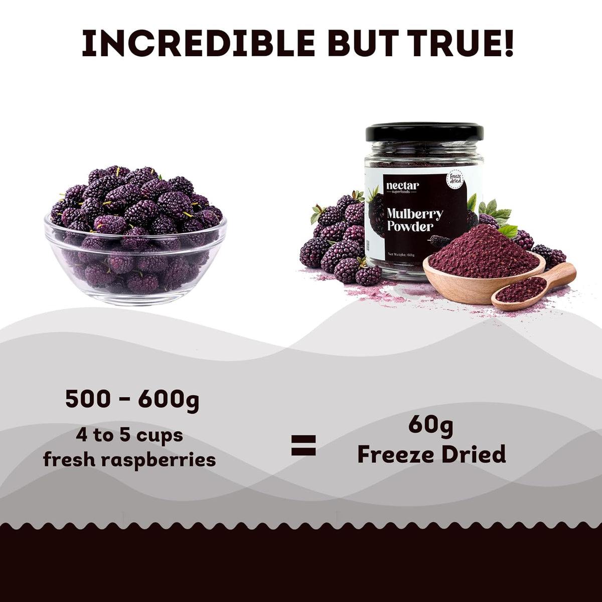 Nectar Superfoods Freeze Dried Mulberry Powder- 60 grams Jar-Pack of 1 Nos 100% Natural | No Added Sugar, Preservative-Free & Vegan | Processed in India