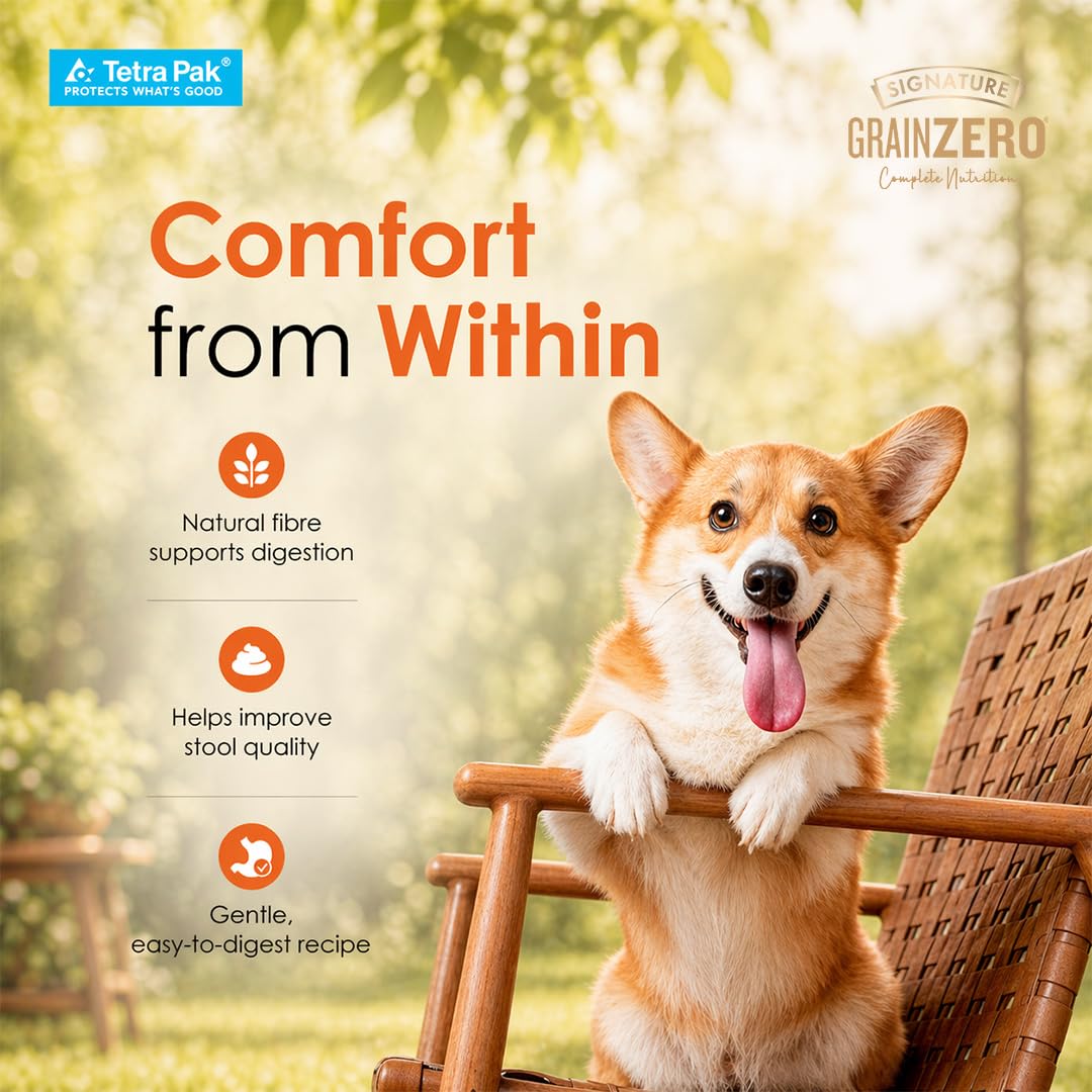 Grain Zero Dog Fresh Food Tetra Pak Real Chicken, Egg & Pumpkin, for Adult & Puppy, 350g | Supports Joint & Health | Immune System | Anti Inflammatory Properties | Ready to Serve | One Pack One Meal